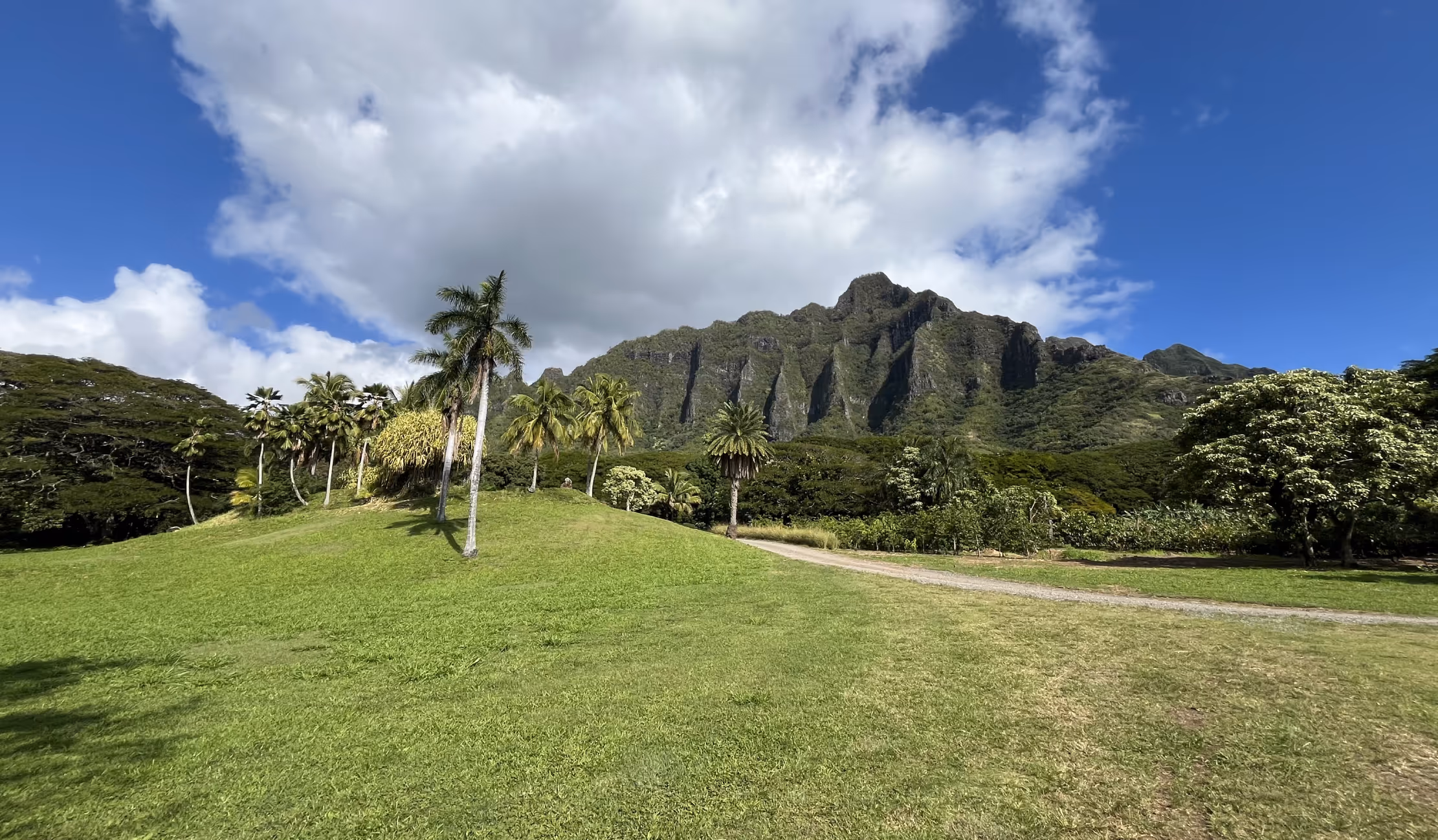 Corporate Team Building Makai - View from the Kayak Activity
