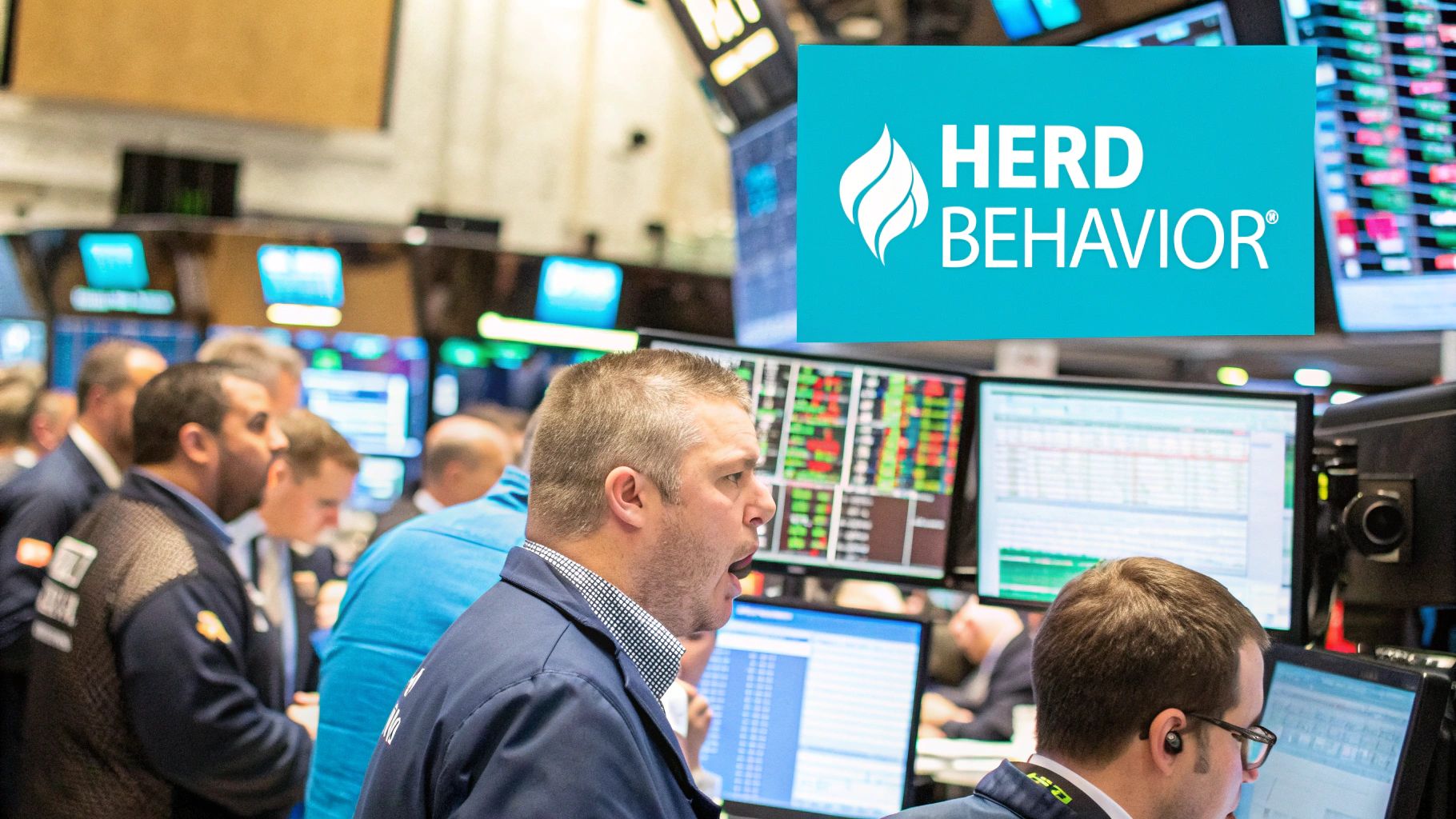 A bull and bear statue facing off, symbolizing market sentiment.