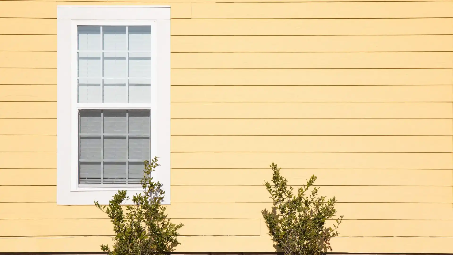 A house siding with yellow boards and an elegant glass window