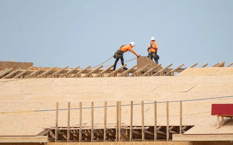 Two roofers inspecting the roof sheathing or decking of an under construction roof