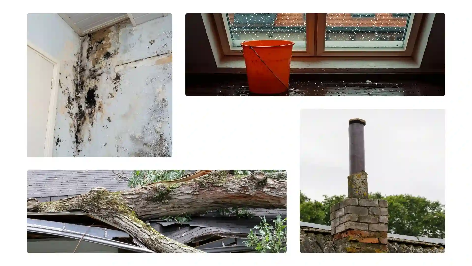 A 4 picture collage that shows 4 different types of roof damage and leaks