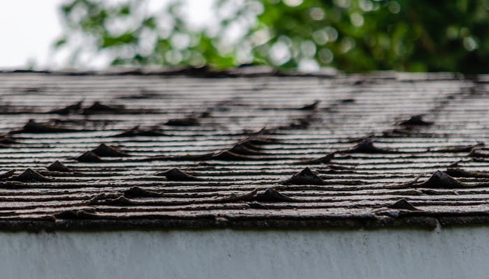 Curling Roof Shingles | 