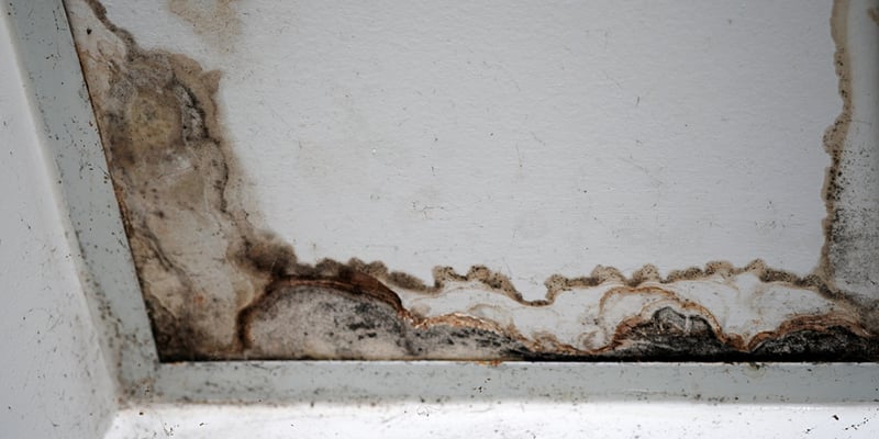 Interior Molding & Staining from Roof Leak | Global Exterior Experts