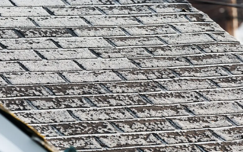 Very Old Roof With Mold On It | Global Exterior Experts