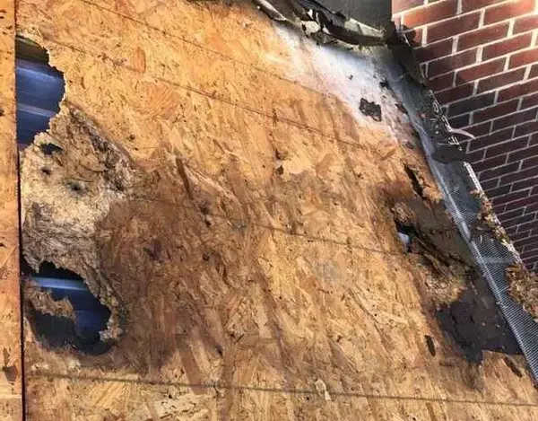 Rotted Roof Decking exposing the underlayers