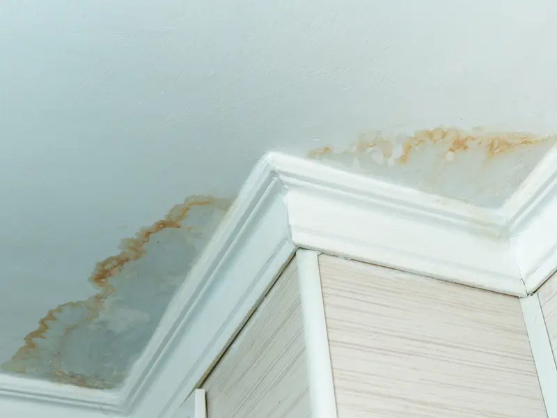 Residential Ceiling Stained From A Roof Leak