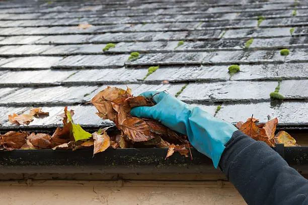 Professional Gutter Cleaning to remove leaves and debris from the gutters
