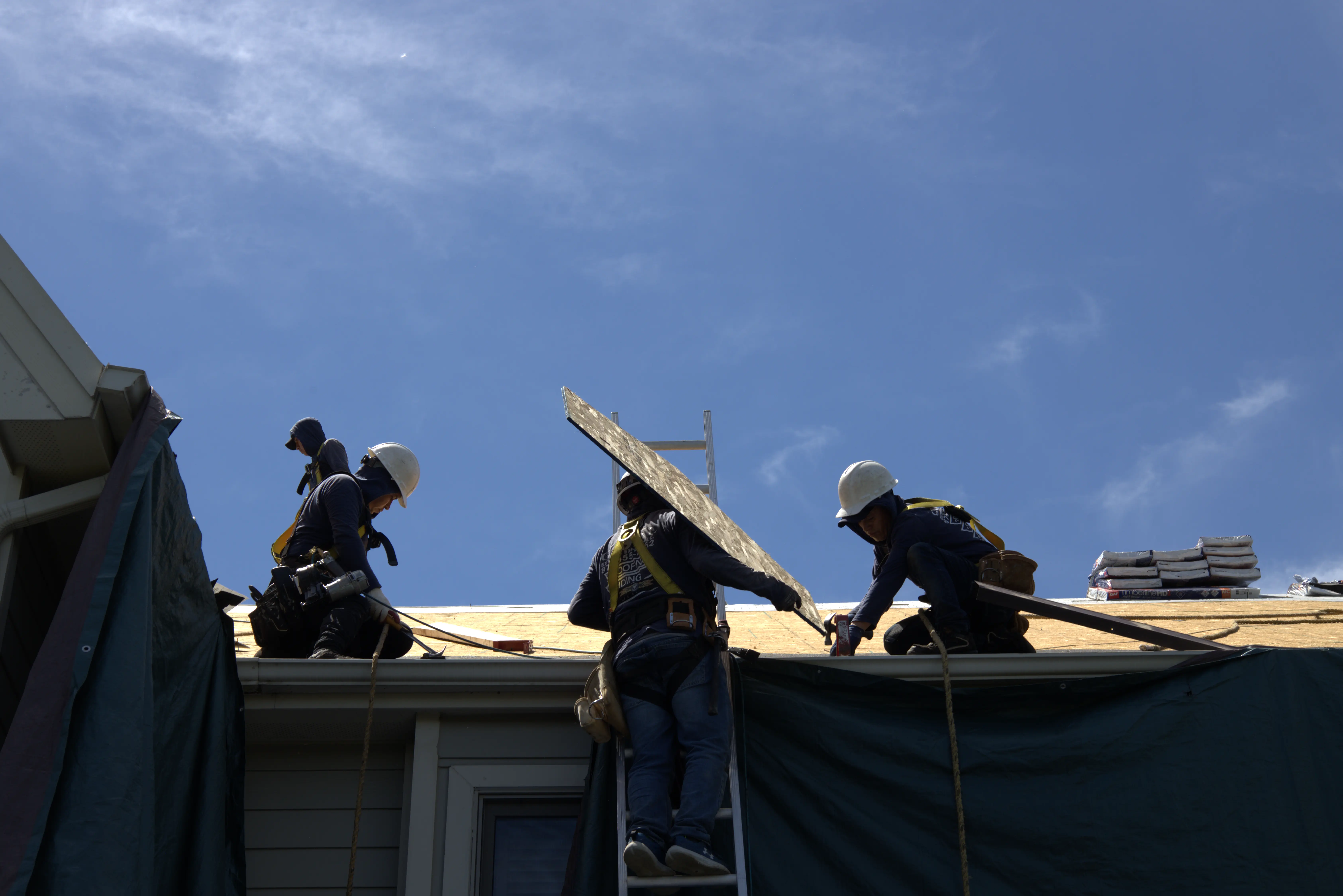 4 Roofers Tearing Off A Roof of it's shingles and carrying up the new plywood for a 