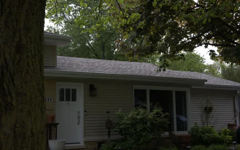 Low Pitch Residential Roof With Shady Tree