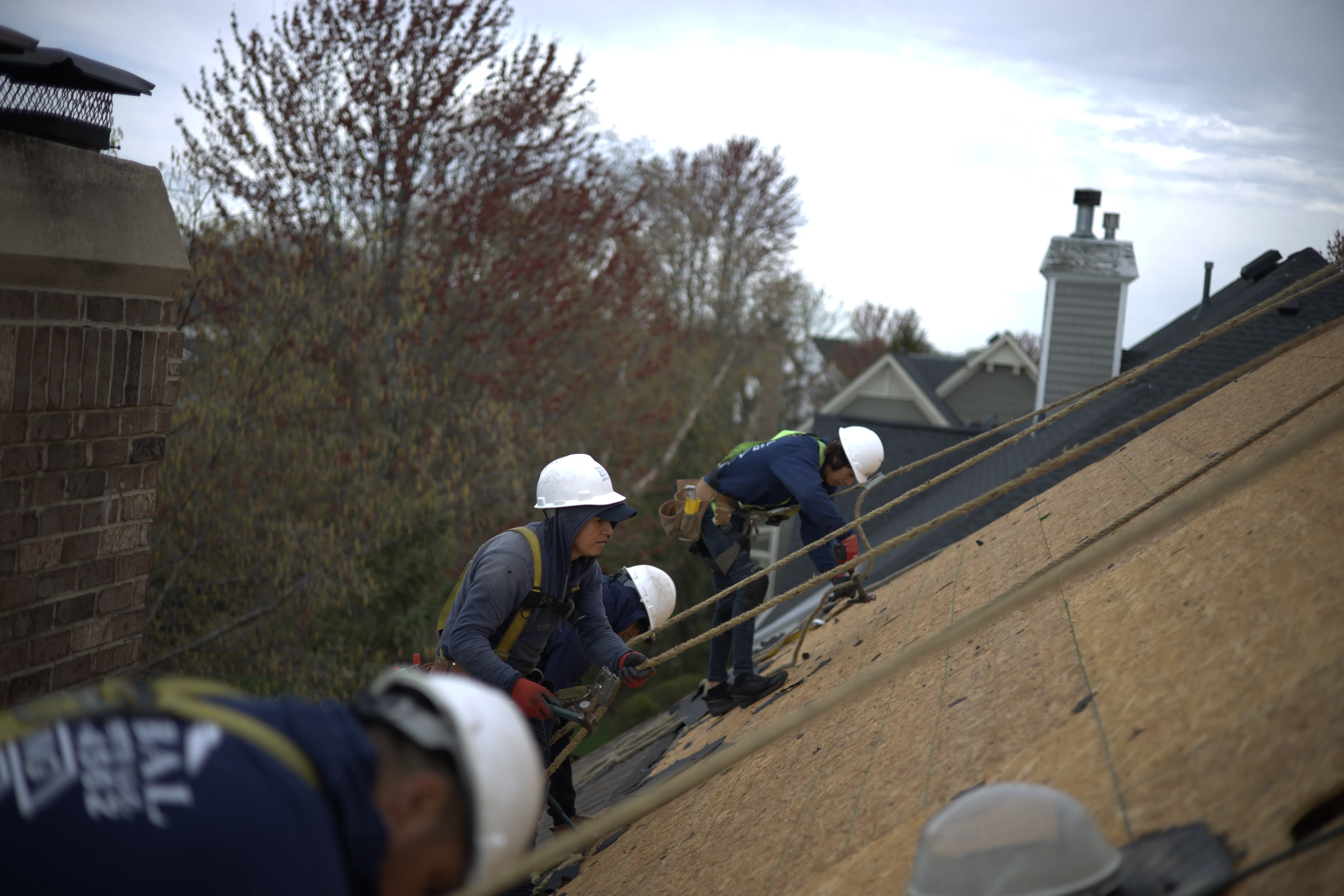 Line of roofers installing residential roof