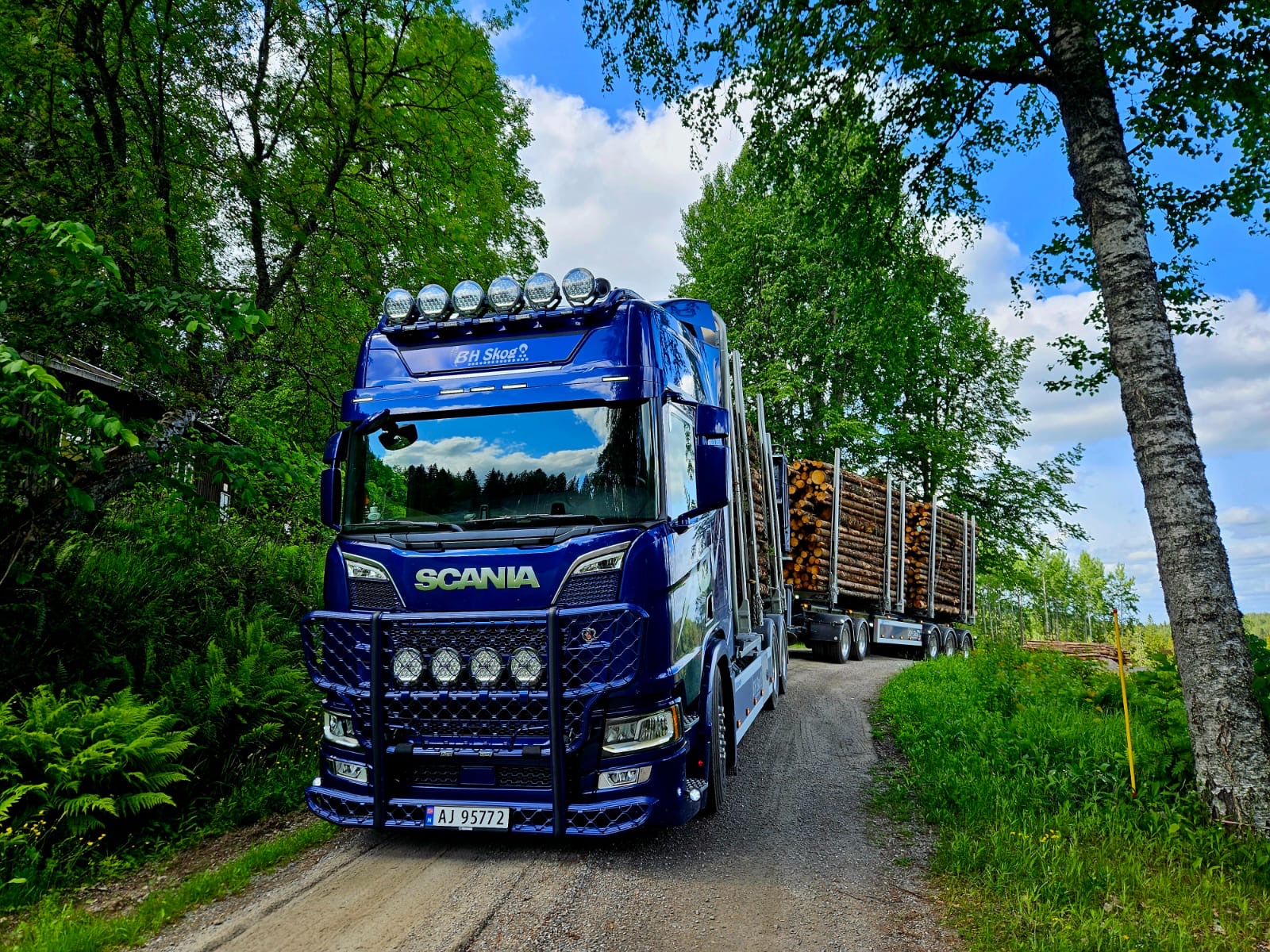 Tømmertransport