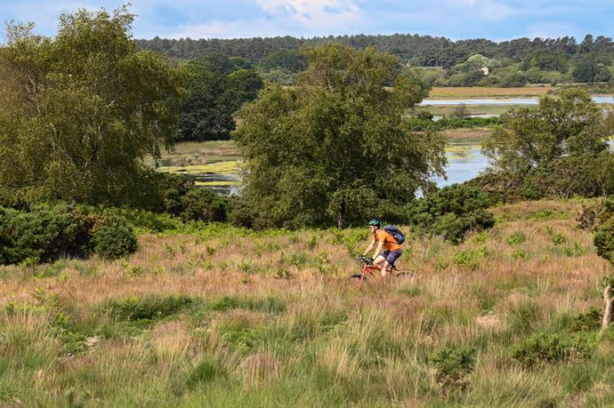 Person cycling through countryside on a track between areas of long grass and ferns