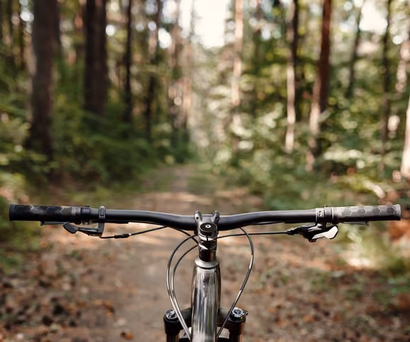 first-person view of MTB handlebars of a mountain bike on a forest trail.