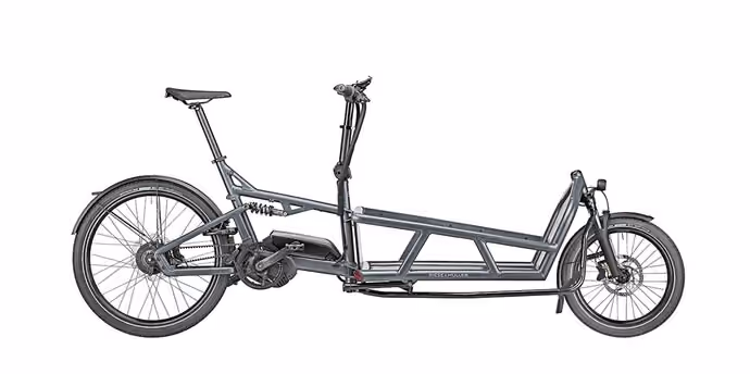 Riese & Müller Load 75 cargo bike