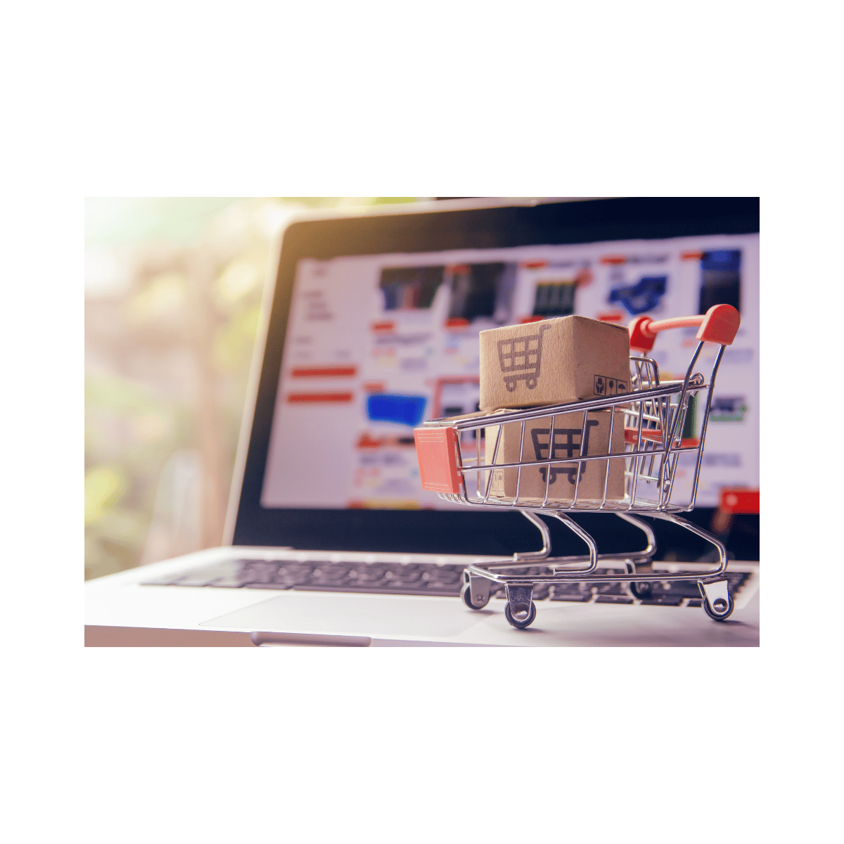 Procurement Kosten software