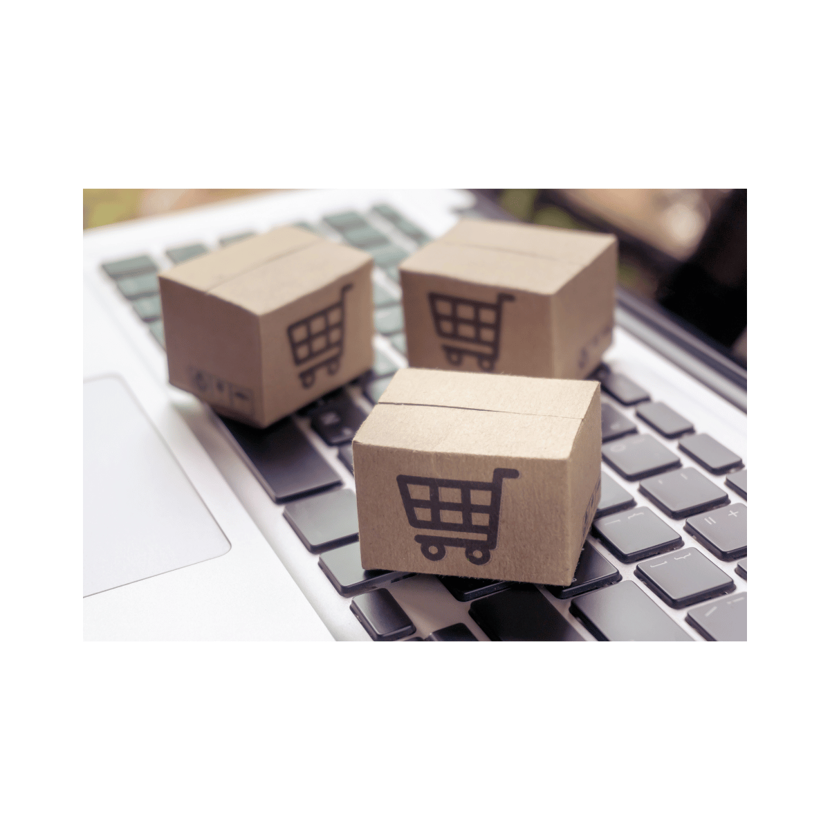 Procurement Kosten Tool