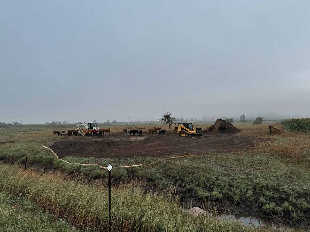 Farm field with cows, two construction vehicles, a dirt pile, and cloudy sky in a rural landscape.