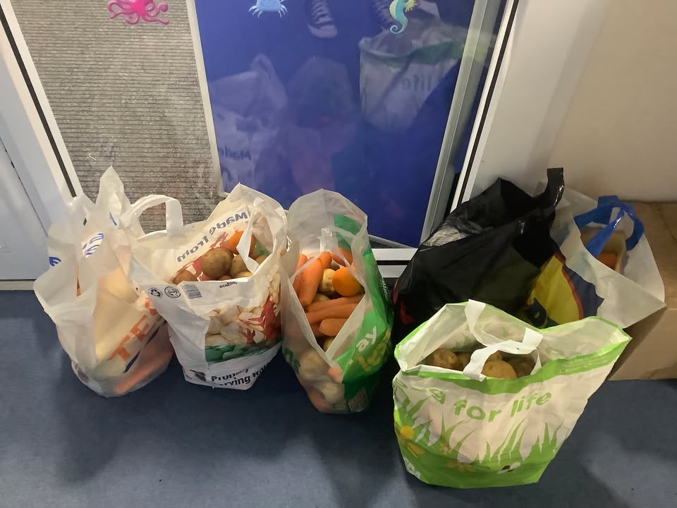 1148112025259377_1405047171631797