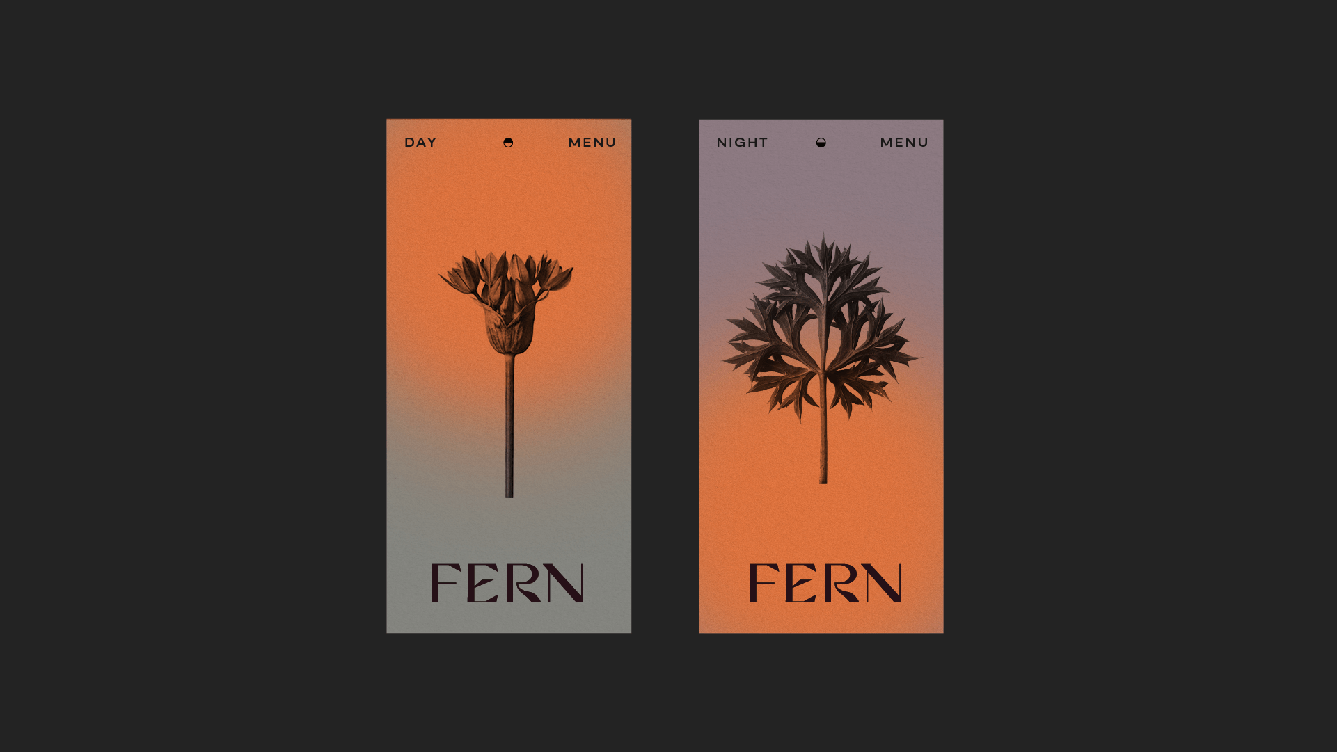 Fern