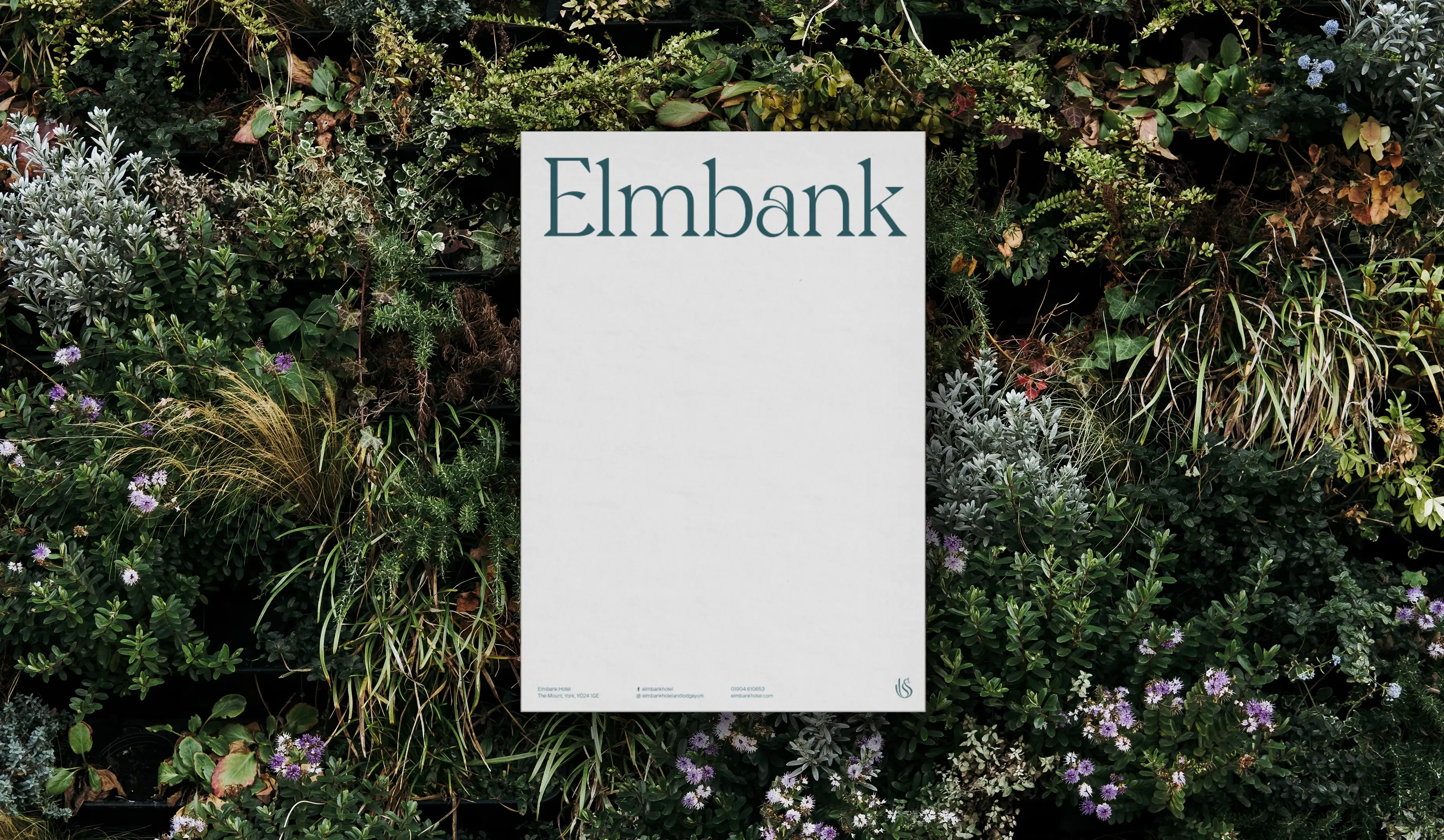 Elmbank