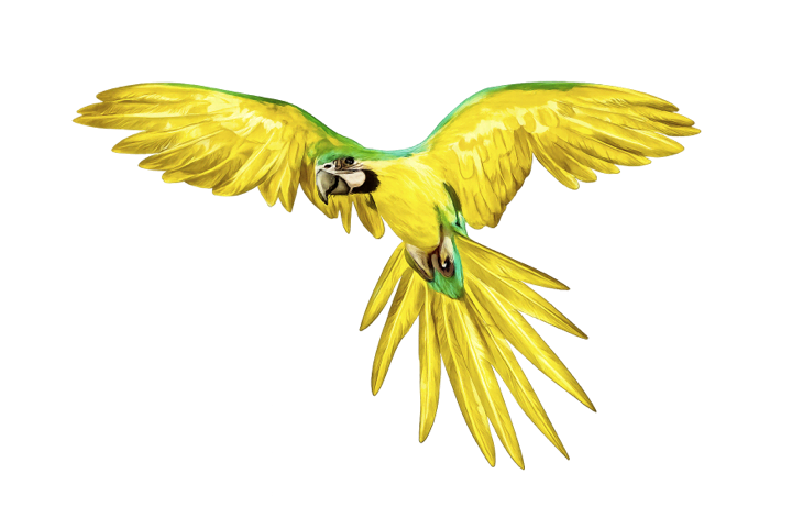 Petaouchnok