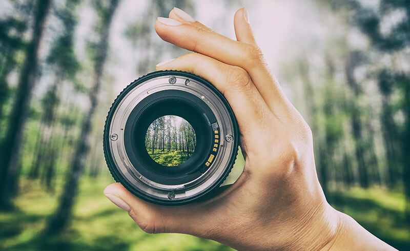 Close-up of a hand holding a camera lens in front of a forest. The forest is blurred out, but through the camera lens, the forest appears clear and focused.