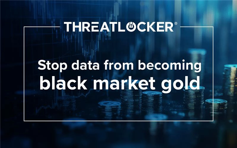 DTiQ faces a class action after a data breach exposed sensitive info used in “Fullz” identity kits. Learn how breaches fuel fraud and harm businesses.