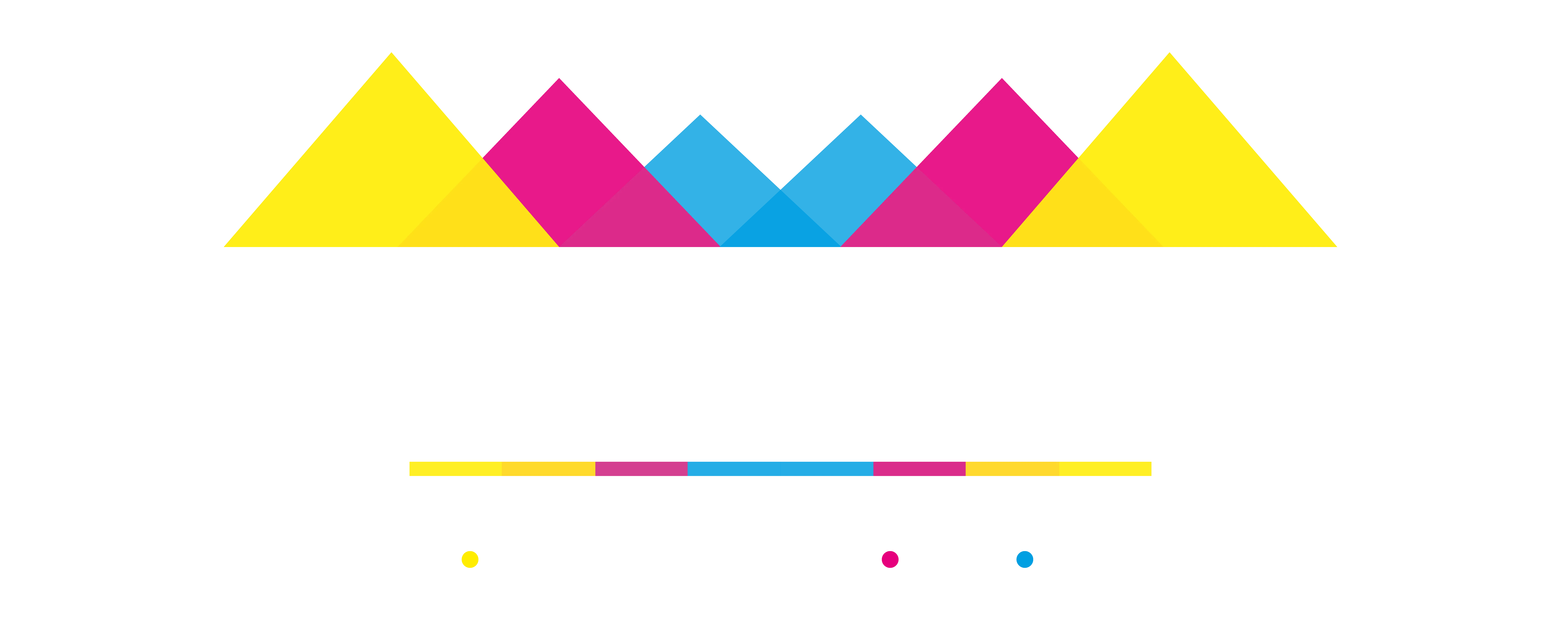 Design in the Shires White Logo