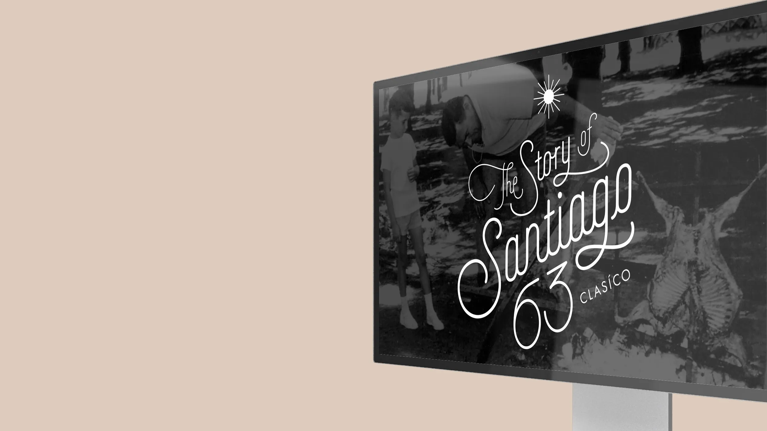 Corporate Design und Website für Zooze von der Design- und Webagentur Büro Bloock aus Köln