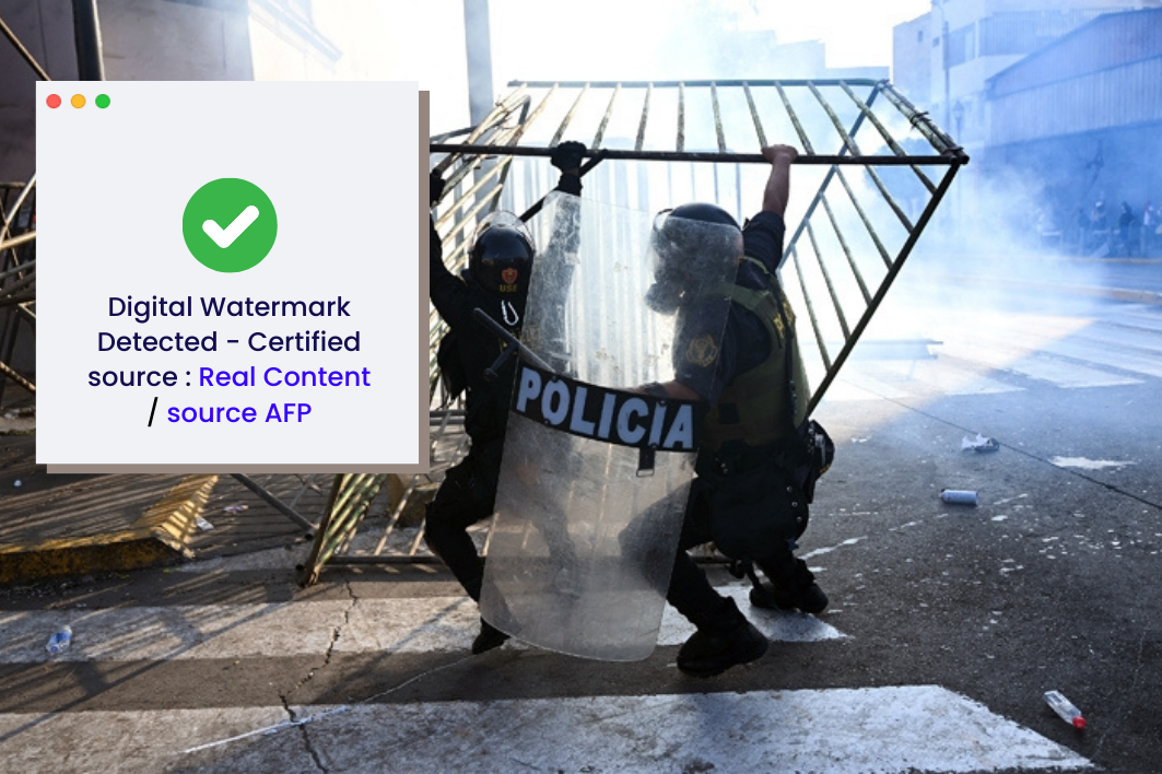 Example of digital watermark detection used in image authenticity verification methods, certifying the original source of a press photograph.