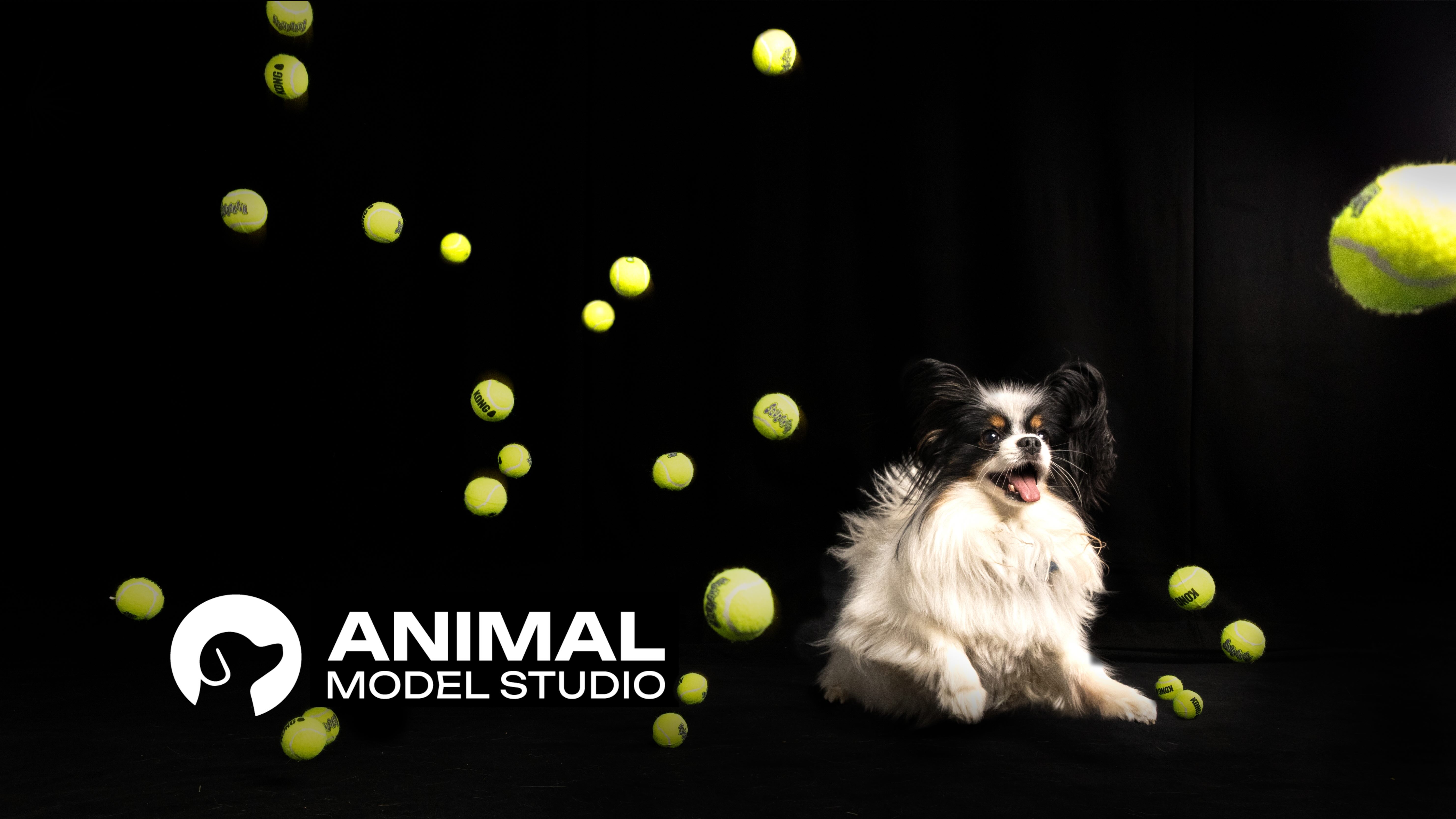 The limitations of stock photography in animal health