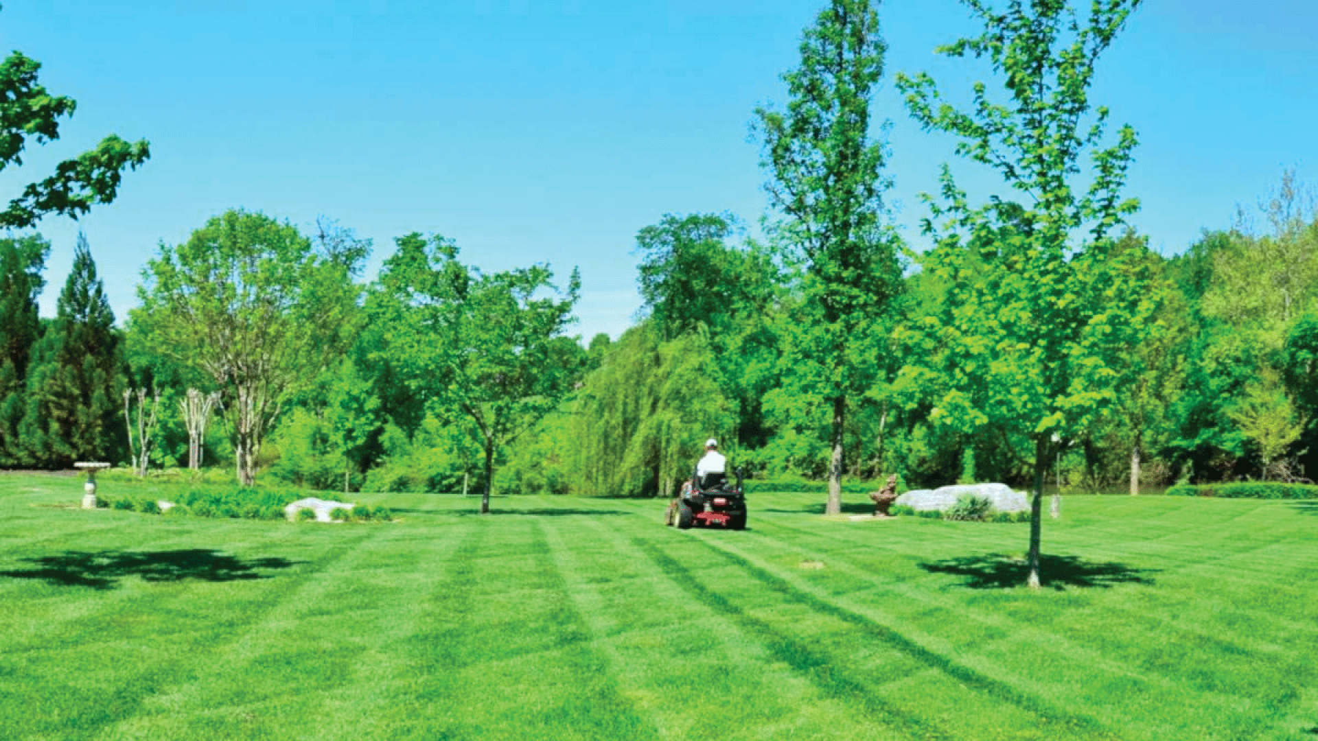 B Franco Landscaping Pic-9