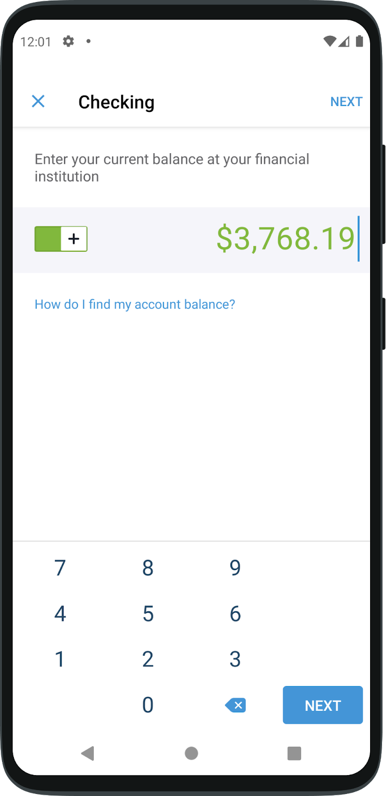 Enter your current bank balance.