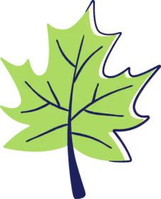 Maple leaf