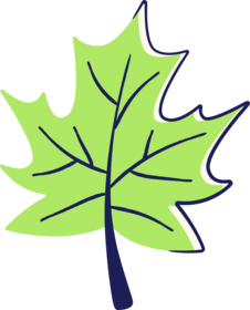 Maple leaf