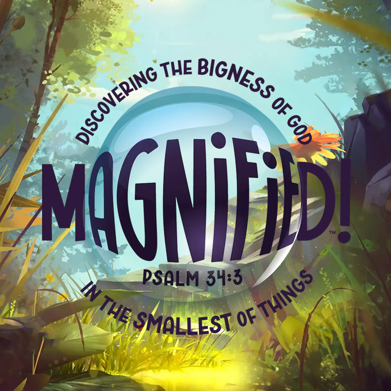 Magnified VBS