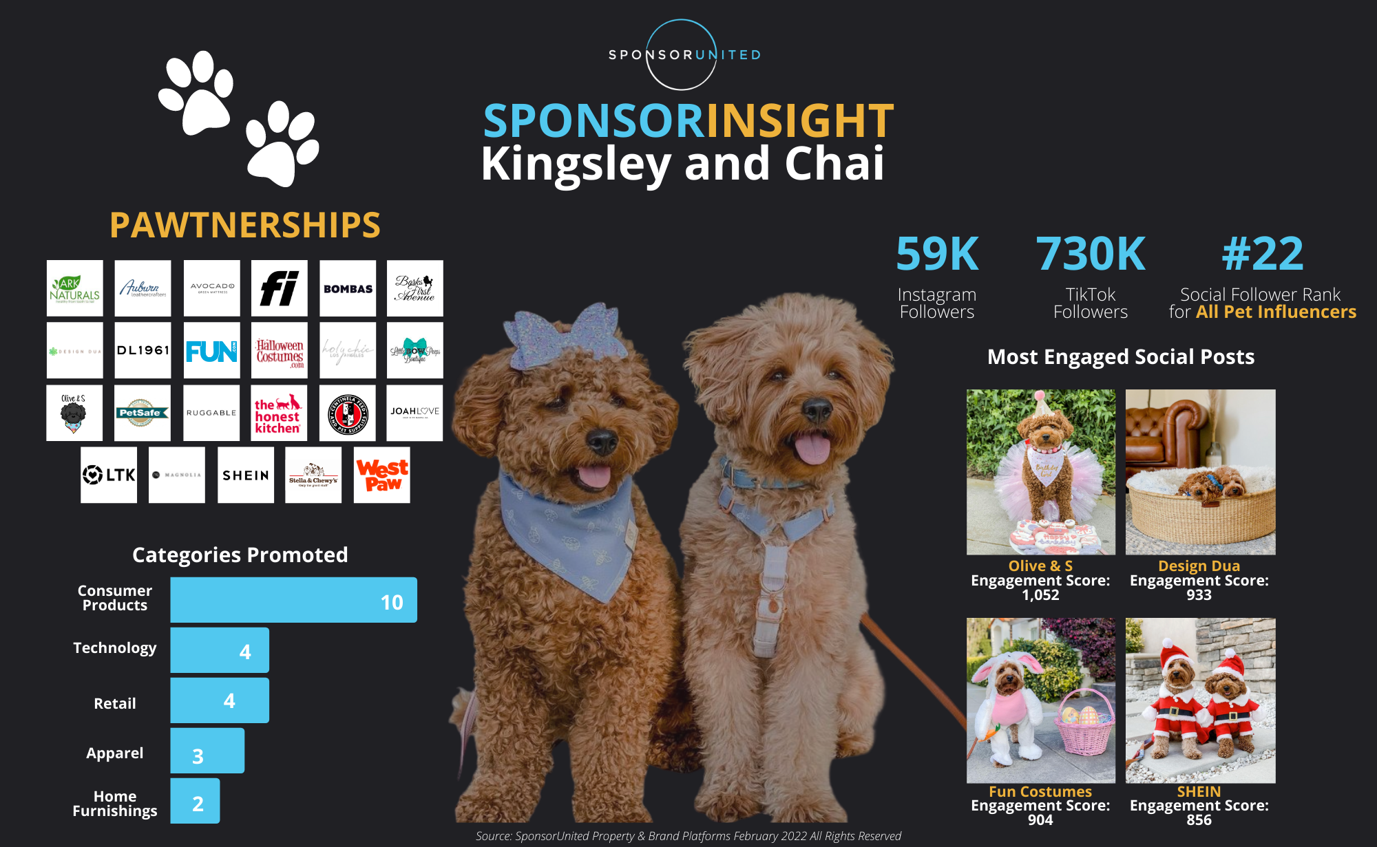 Kinglsey and Chai Goldendoodles