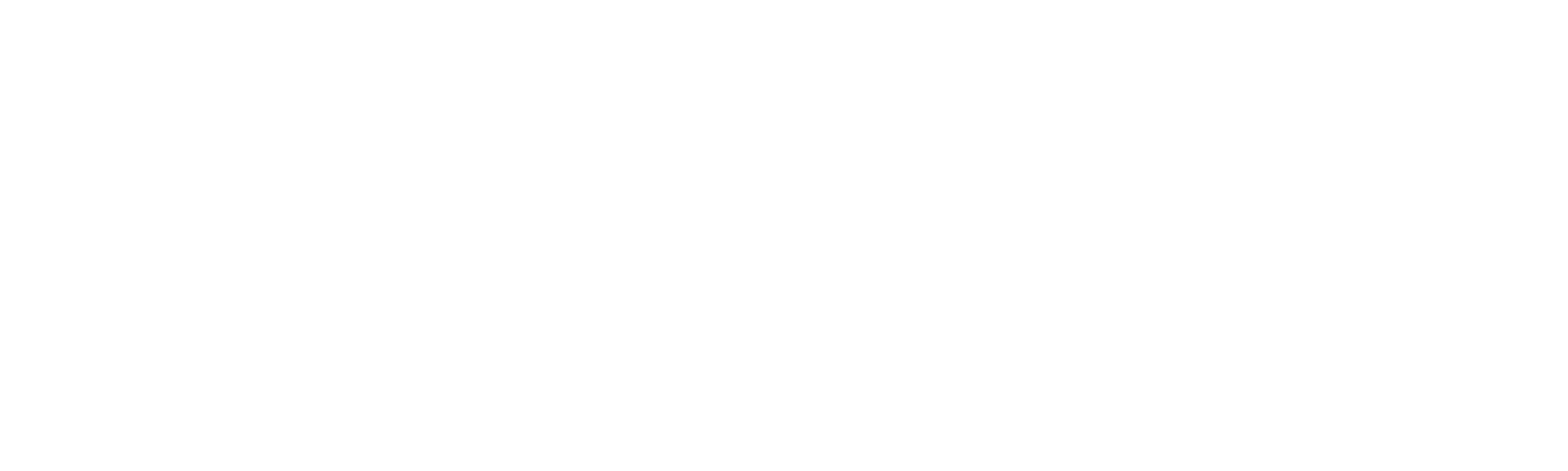 NutriWhite · Conexión intestino-cerebro