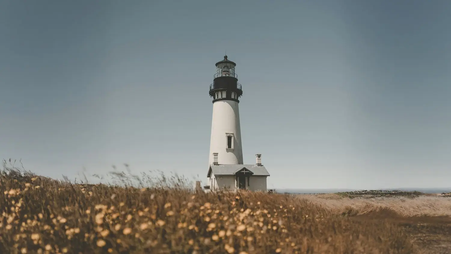 A lighthouse above a field of dry grass