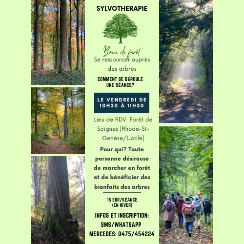Bain de forêt