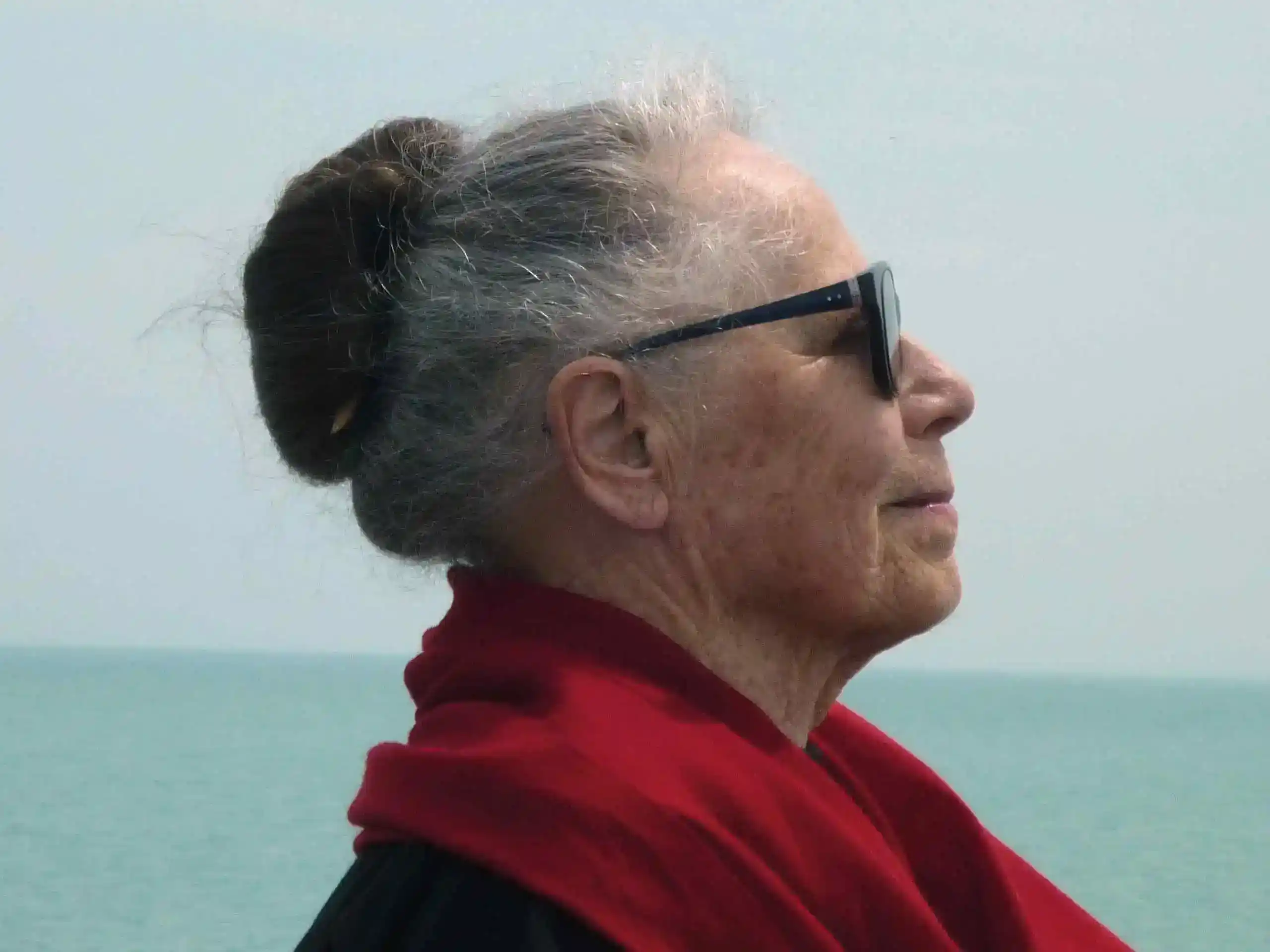 Vera Molnár