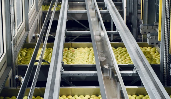 food manufacturing plant processing food items