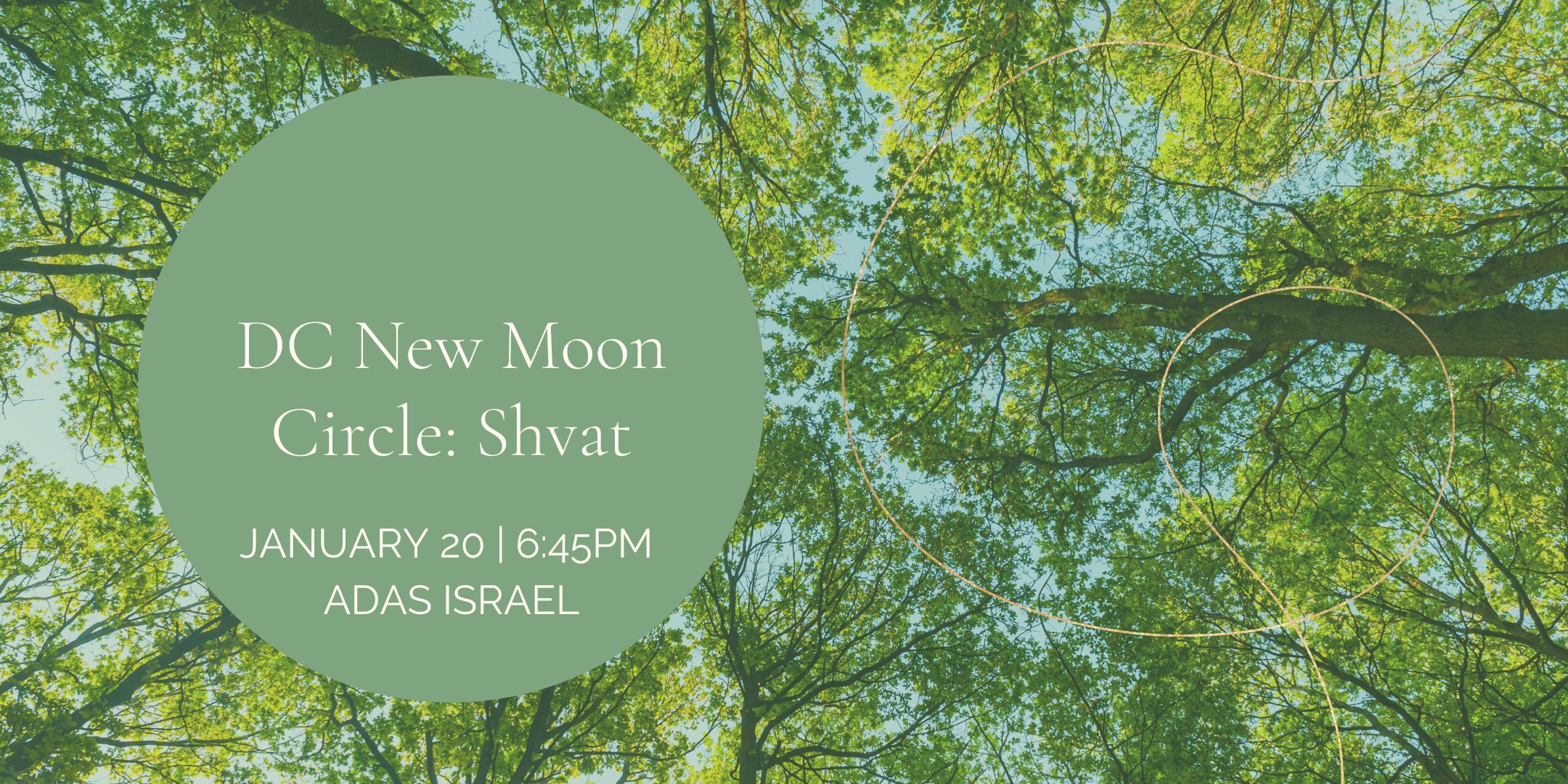 DC New Moon Circle: Shvat