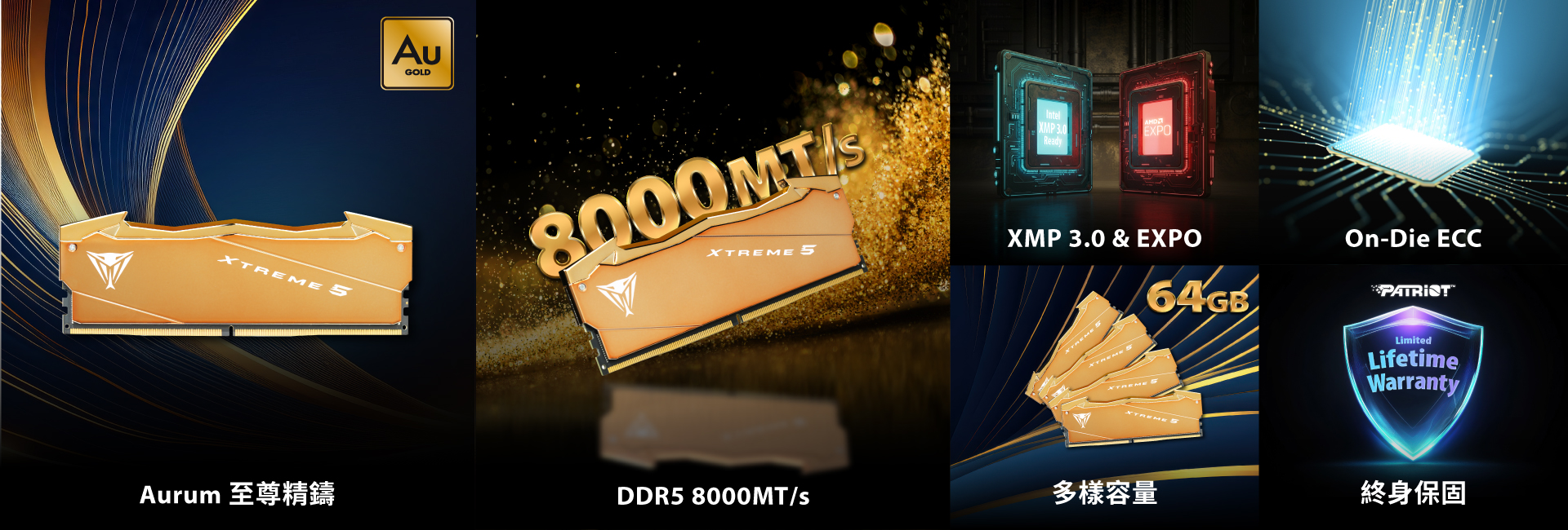 Viper Xtreme 5 Aurum Edition DDR5 特仕耀金版高性能記憶體