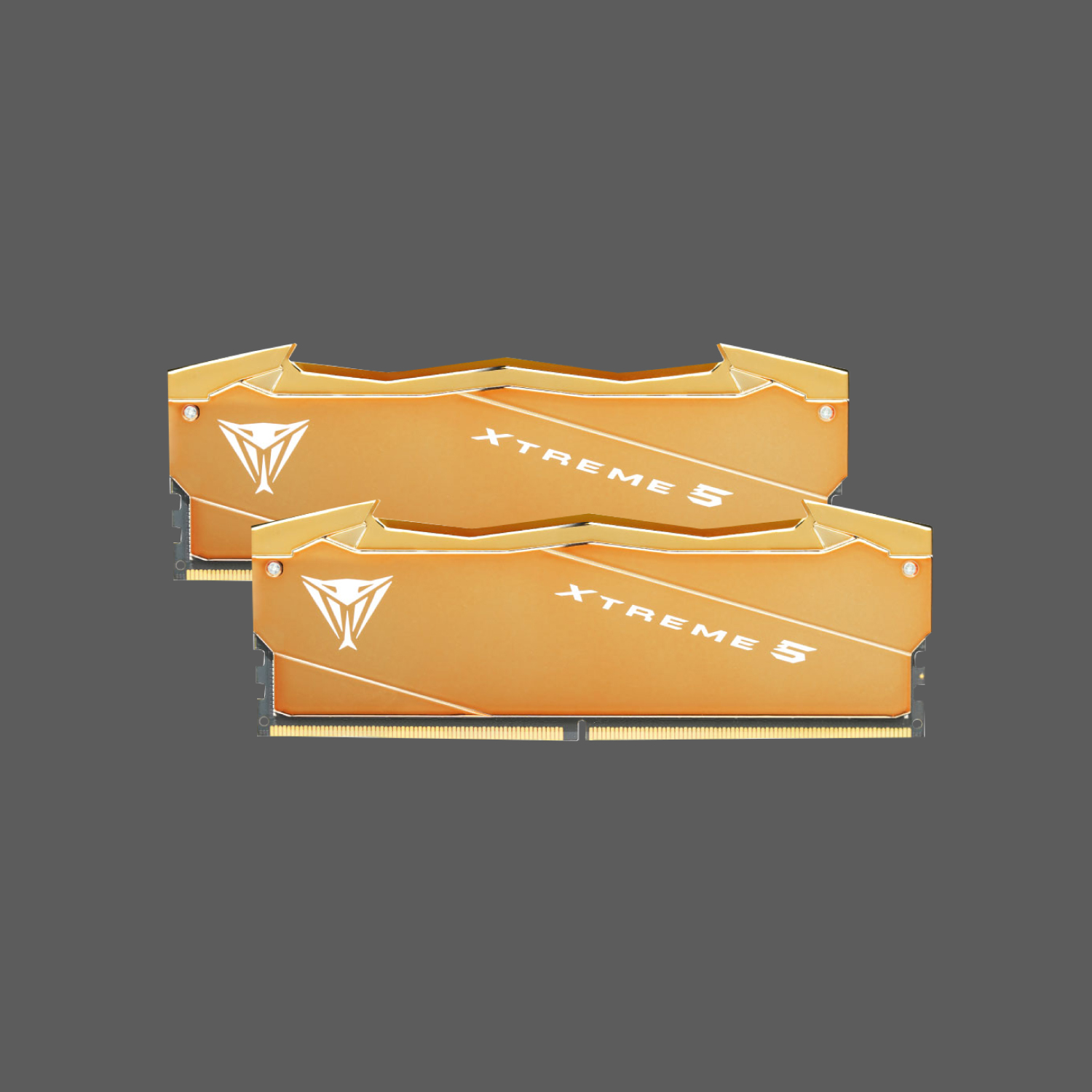 Viper Xtreme 5 Aurum Edition DDR5 特仕耀金版高性能記憶體