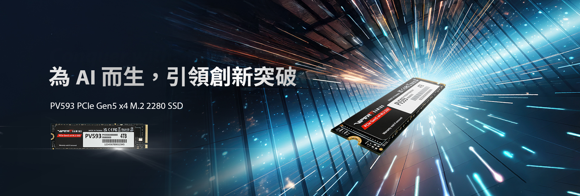 PV593 PCIe Gen5 x4 M.2 2280 固態硬碟