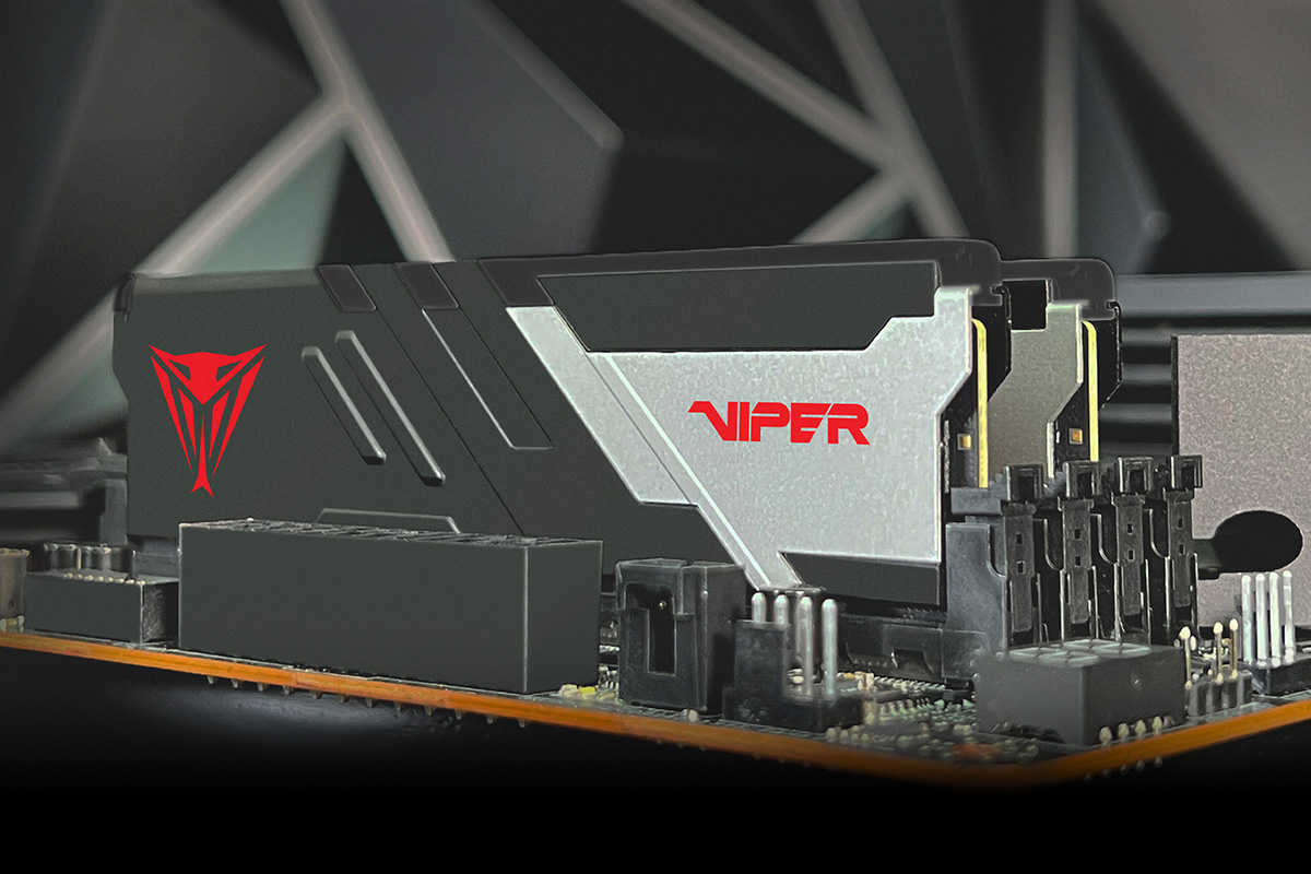Viper Venom Non-RGB DDR5  AMD Series
