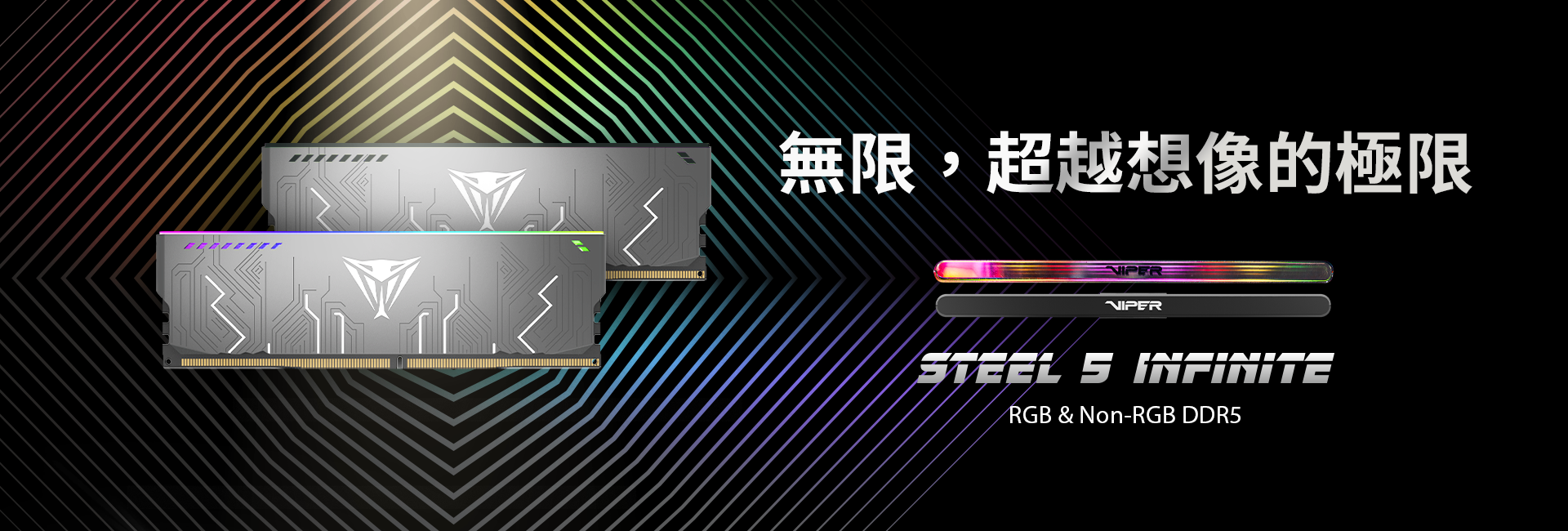 Viper Steel 5 Infinite RGB & Non-RGB DDR5 Performance DRAM