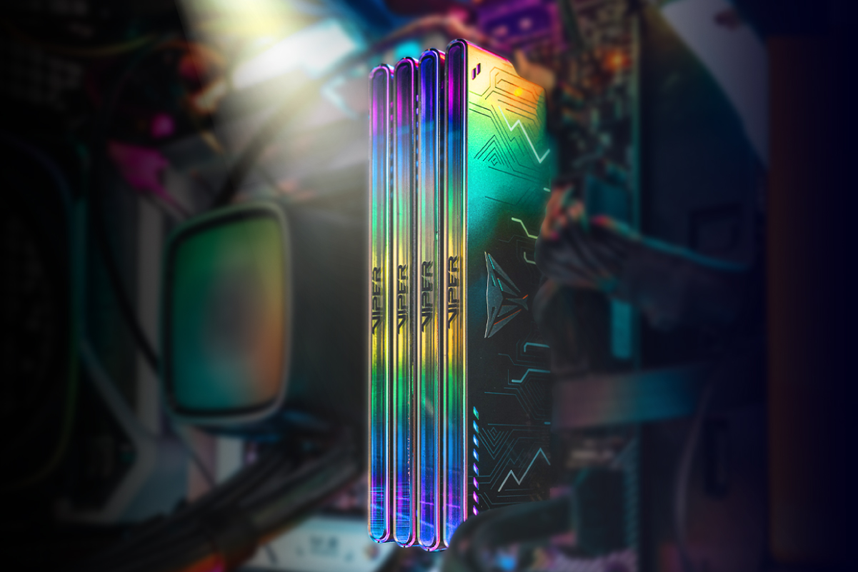 Viper Steel 5 Infinite RGB & Non-RGB DDR5 Performance DRAM