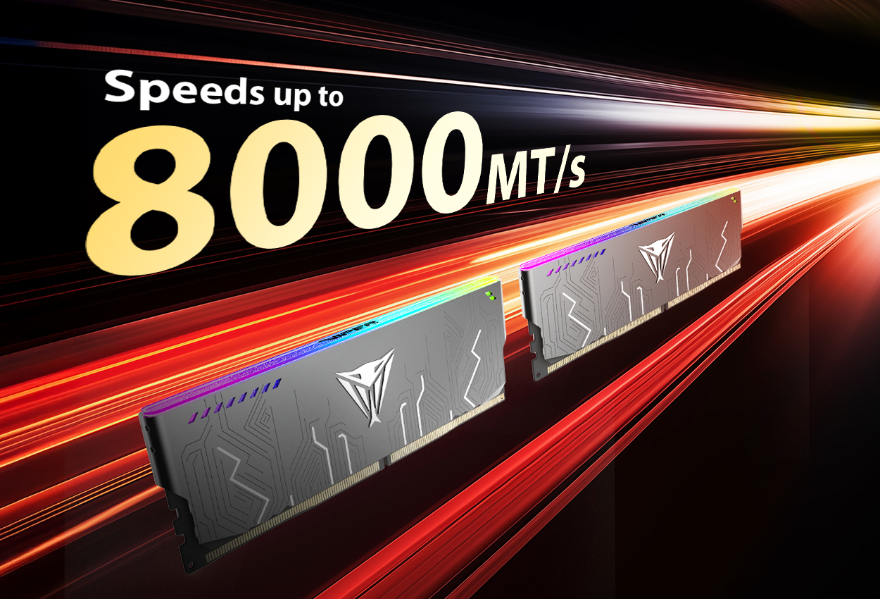 Viper Steel 5 Infinite RGB & Non-RGB DDR5 Performance DRAM